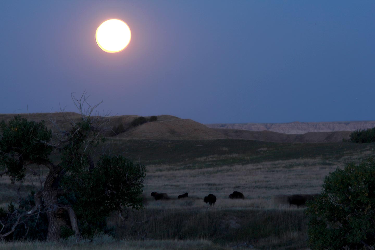 Full moon over the Badlands National Park