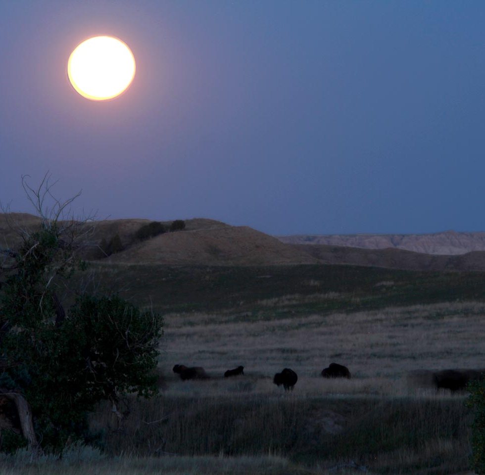 Full moon over the Badlands National Park