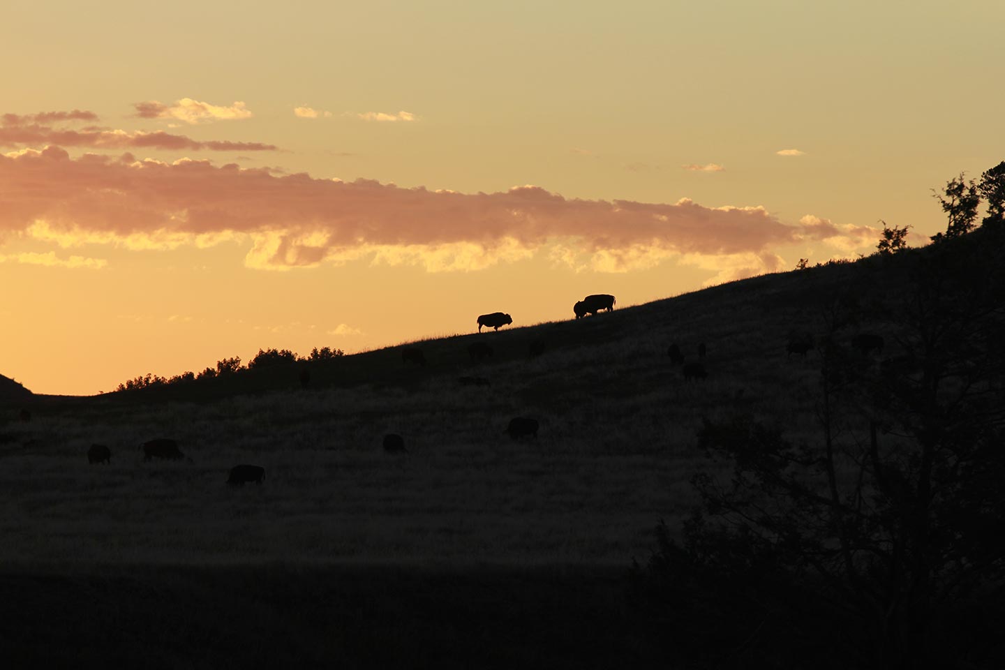Badlands of South Dakota at Sunrise