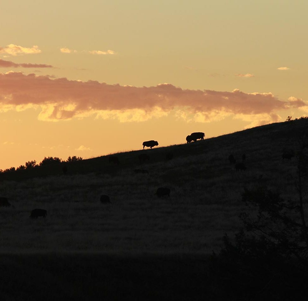 Badlands of South Dakota at Sunrise