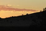 Badlands of South Dakota at Sunrise